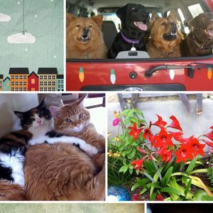 Meet your Posher, Marilyn